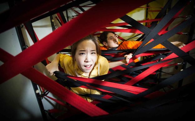 Alive Museum and Dynamic Maze Admission Ticket